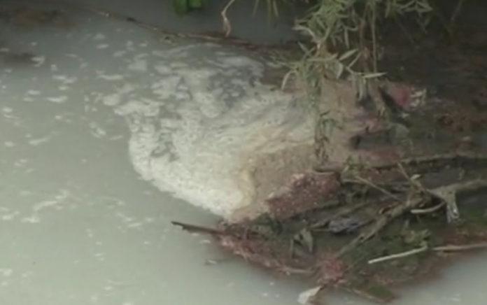 Русенски Лом