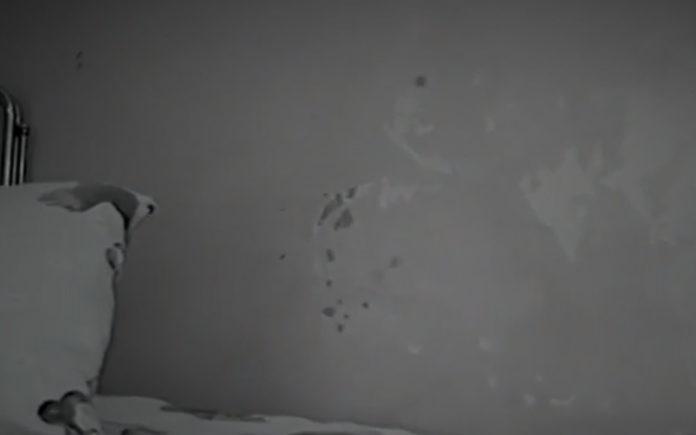 Падаща мазилка и стари легла в Отделението по нефрология в болница "Св. Иван Митев"