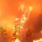 Пожарът в Рила