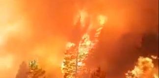 Пожарът в Рила