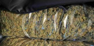 Разбиха наркогрупа в София