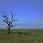 Климатични промени