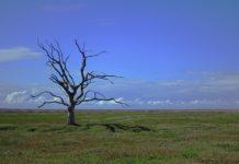 Климатични промени