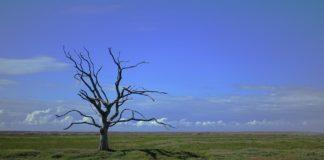 Климатични промени