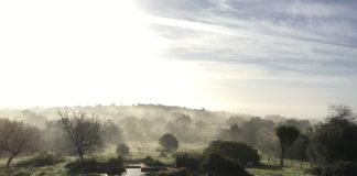 Климатични промени