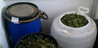 Иззеха големи количества наркотици при спецоперация в село Кривина