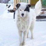 Спасителят. Снимка: Фейсбук, Simeon Simeonov