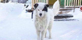 Спасителят. Снимка: Фейсбук, Simeon Simeonov