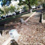 Борисовата градина. Снимка: Фейсбук, Александра П.