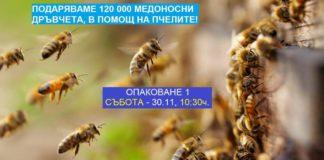 Снимка: Гората.бг