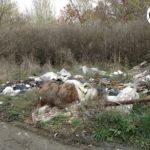 Боклуци, боклуци, боклуци