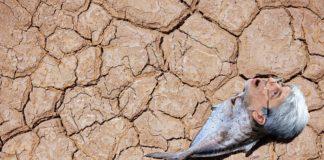 Адаптиране. Снимка: Иван Червенков