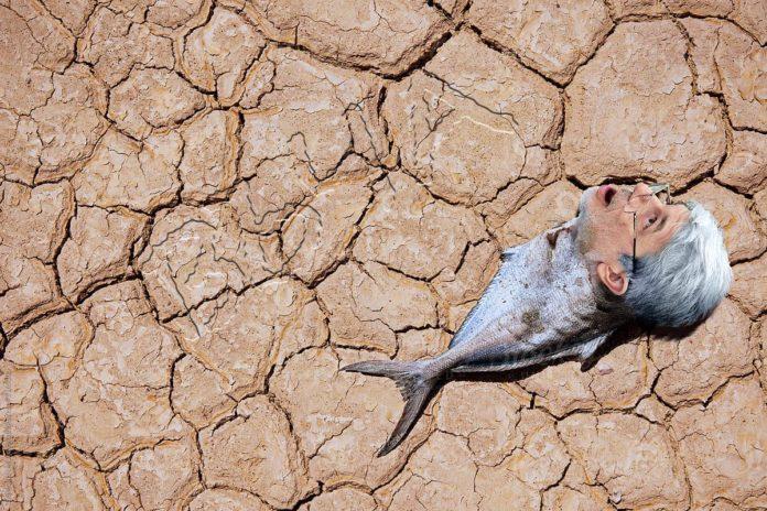 Адаптиране. Снимка: Иван Червенков