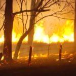 пожари в Австралия