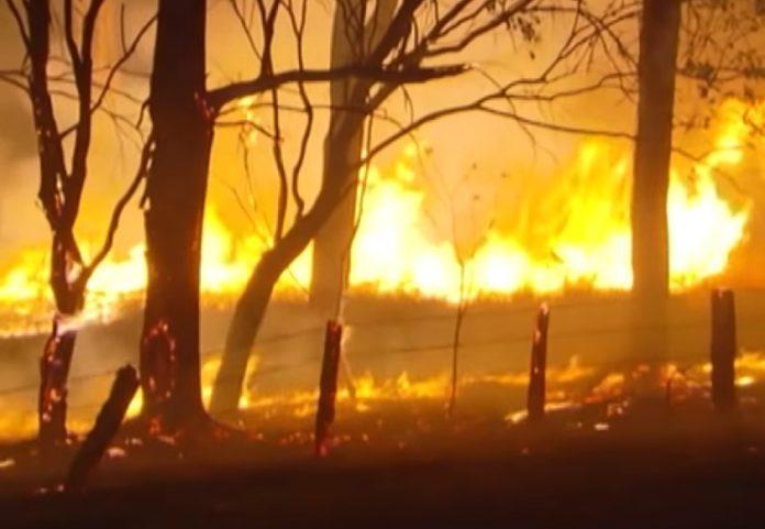 пожари в Австралия