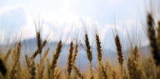 Илюстративна снимка: Пиксабей