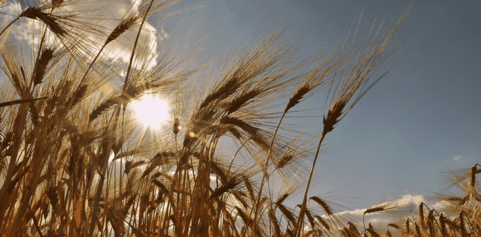 Илюстративна снимка: Пиксабей