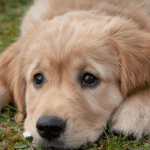 Илюстративна снимка: Пиксабей