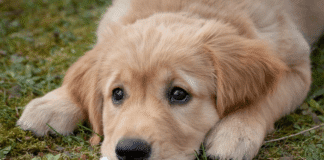 Илюстративна снимка: Пиксабей