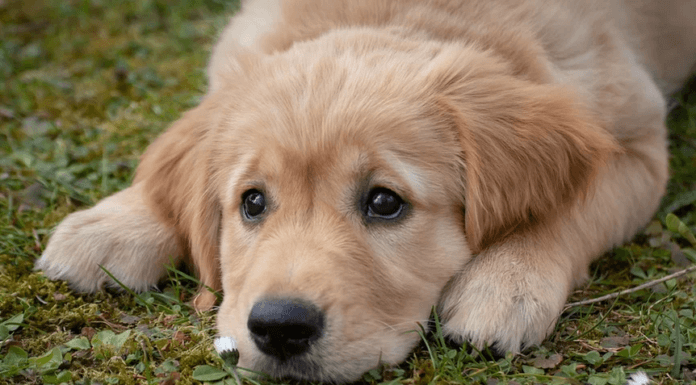 Илюстративна снимка: Пиксабей