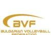 Българска федерация по волейбол
