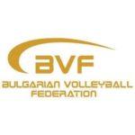 Българска федерация по волейбол