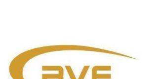 Българска федерация по волейбол