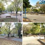 Борисовата градинка