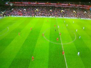 Снимка: Тодор Тодоров