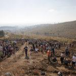 Дъбова гора