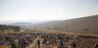 Дъбова гора