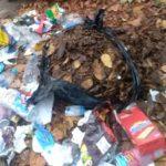 Кофата за боклук на ул. Цар Самуил в Монтана