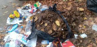 Кофата за боклук на ул. Цар Самуил в Монтана