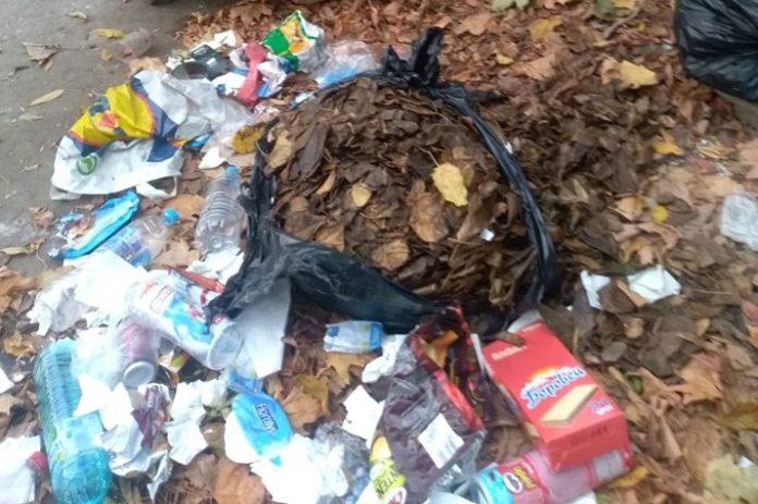 Кофата за боклук на ул. Цар Самуил в Монтана