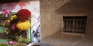 Снимка: Николай Васильовски