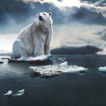 Климатични промени