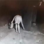 Жената, която издирват чрез Facebook