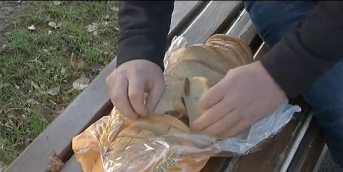 Снимка: Скрийншот от репортаж на NOVA