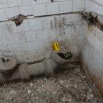 Разследване в Шумен