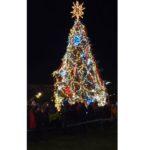 Коледна елха