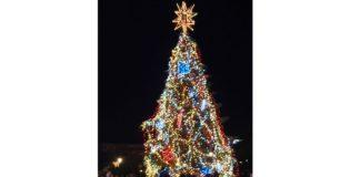 Коледна елха