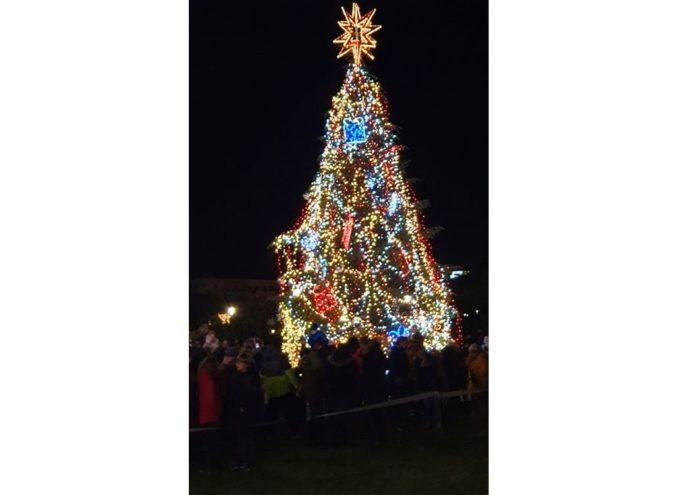 Коледна елха