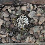 Претърсване на мястото на убийството