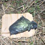 Претърсване на мястото на убийството