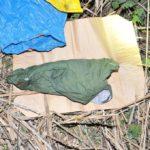 Претърсване на мястото на убийството