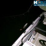 Не на бракониерството!