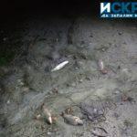 Извадената мрежа