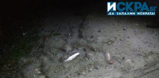 Извадената мрежа