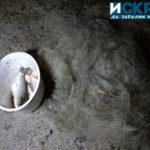 Не на бракониерството!