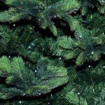 Илюстративна снимка: Пиксабей